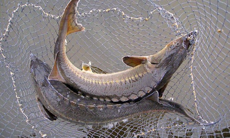 Жасырын камера дәретхана әйел төменгі көрініс порно